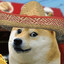 kloogybaboogy