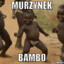 murzynek BAMBO