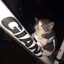 Have You Seen My Cat