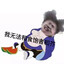 好好先森阿俊