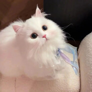 重生之我在糖心当少爷