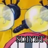 Sdiybt