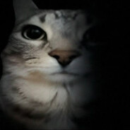 Дырка - steam id 76561198778303547