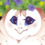 DOMI★SHIRO