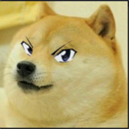 HoLyDoGe