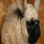 Danya228ProKillerBloodAssasin666