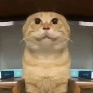 大狗叫了五千次 基米哈气第一次