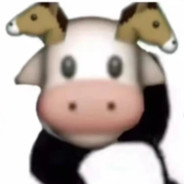 盖泥月成都南梁