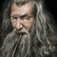 ✯Gandalf`♿