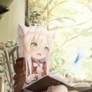 见证者孪生的猫