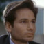 Agent Fux Mulder