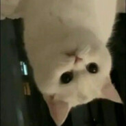 给一颗没有的星星