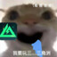 她美似晚星