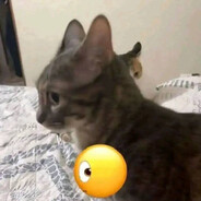 ࣪𖤐 WISHKATT💕