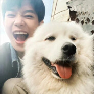 时光交错留不住你