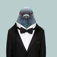 Важный голубь