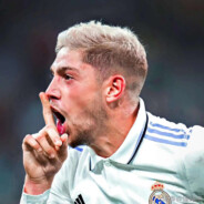 放开那只小奶牛