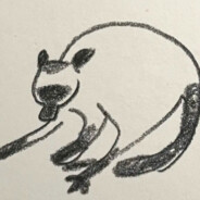 咪咪复咪咪，咪猫当户吃