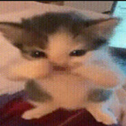 scuba