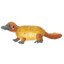 The Potato Platypus
