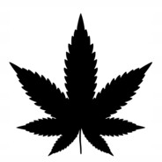 IntensiveHigh