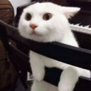 西瓦图斯-阿切兰