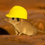 hard hat Kooggiri