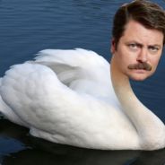 Swan Ronson