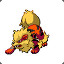 ARCANINE.