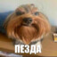Нафижу за 10 руб.