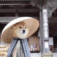 万水千山总是情，给我滋蹦行不行