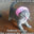Pricedspider avatar