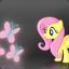 Fluttershy