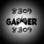 8309.gamer