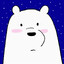 ice bear