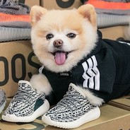 yeezyboye