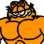 Buff Garfield