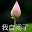我自闭了