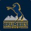 brumbiematic