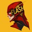 Flash