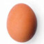 Only Egg