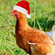 куриная ношка 2.0