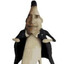 BARACK BANANA