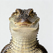 一只的大大的沫连