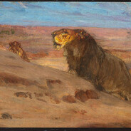 Lion of the Desert