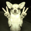lunnoyye♥'s avatar