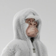 气急败坏的某人