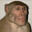 australopithecus