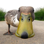 -Roy🦆💜 - steam id 76561198080537924