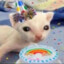 meow~~